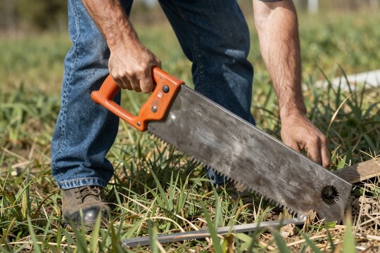 Carpenter Using Hand Saw for Wood Cutting