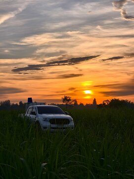 Khu Mueang, Thailand &ndash; August 08, 2026: pickup truck Ford Ranger, Transporting tanks organic fertilizer in sugarcane field dramatic sunset. agricultural transport concept Drought and plant diseases.
