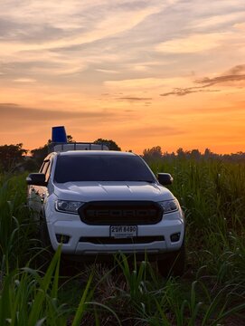 Khu Mueang, Thailand &ndash; August 08, 2026: pickup truck Ford Ranger, Transporting tanks organic fertilizer in sugarcane field dramatic sunset. agricultural transport concept Drought and plant diseases.