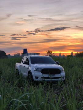 Khu Mueang, Thailand &ndash; August 08, 2026: pickup truck Ford Ranger, Transporting tanks organic fertilizer in sugarcane field dramatic sunset. agricultural transport concept Drought and plant diseases.