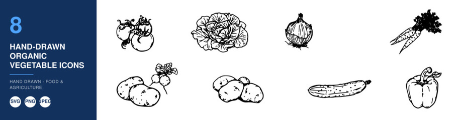 Fototapeta premium Vegetable Icons Hand-Drawn Organic Set on White Background for Healthy Eating Concept and Label Design