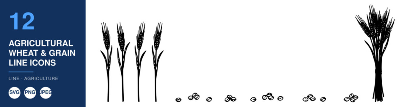 Wheat Grain Line Icon Set on Nameplate Background, Thin Black Agricultural Symbol Design for Farming Education