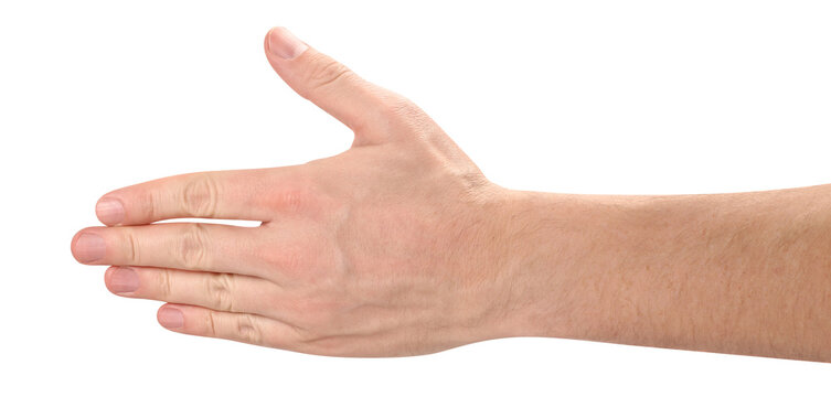 Male hand with closed fingers in flat gesture, isolated on transparent cutout background