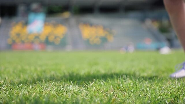 Rugby ball on grass field during a practice session in a stadium setting