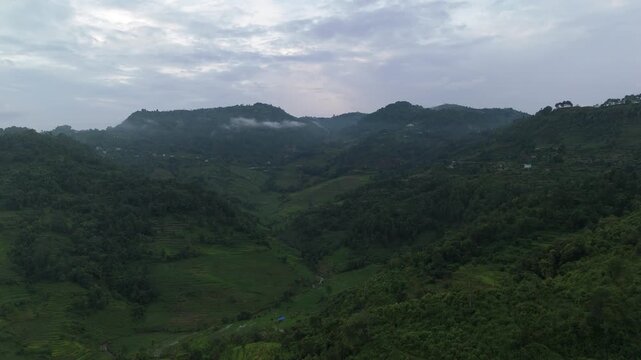 Aerial landscape of a deep green mountain valley covered in dense forest under an overcast sky