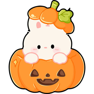 Cute Bunny Sitting Inside a Pumpkin