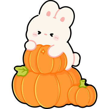 Cute Bunny Sitting on Pumpkins