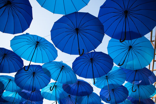 Blue umbrellas form a spacious overhead composition against the sky, colorful outdoor decoration, creative festival background.