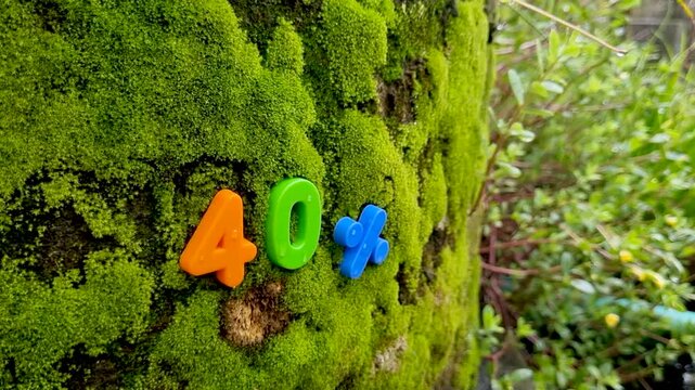Forty percent sign made of plastic numbers attached to a mossy tree trunk moss nature discount