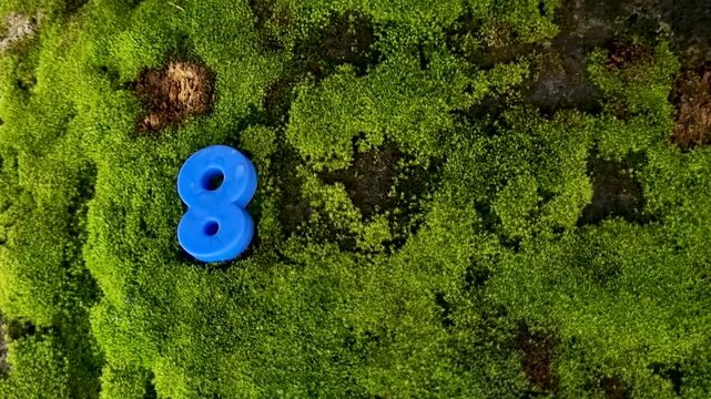 Blue number eight attached to a textured mossy tree bark moss green nature forest digit