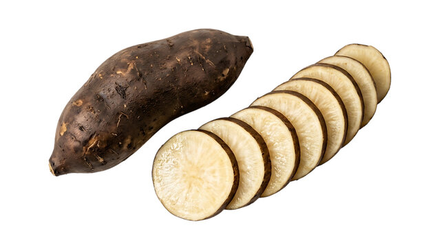 Fresh yacon root with sliced round pieces, raw edible Peruvian ground apple isolated on white background, healthy prebiotic superfood