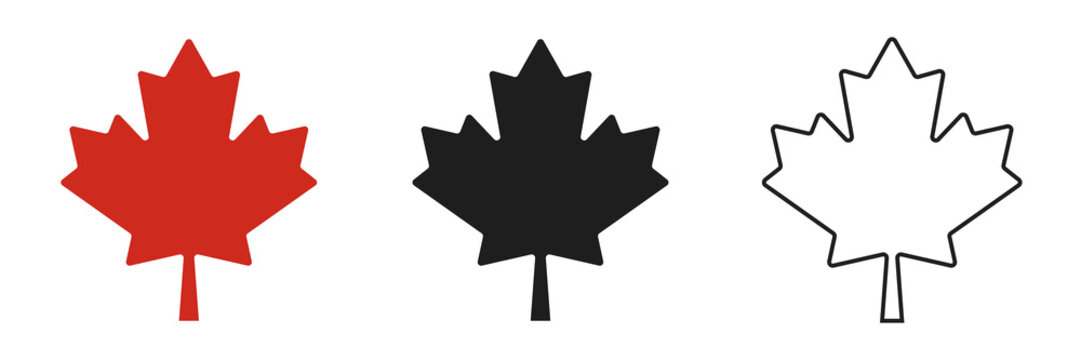 Maple leaf vector icon collection in outline and solid styles isolated on transparent background
