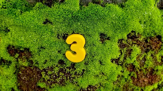 Yellow plastic number three placed on a thick green mossy surface moss nature texture macro contrast