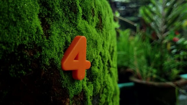 Orange plastic number four sitting on a thick green moss covered trunk bark tree nature texture