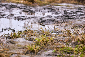 Fototapeta premium Environmental impact of seasonal change: Melting snow and flooding leading to messy muddy terrain