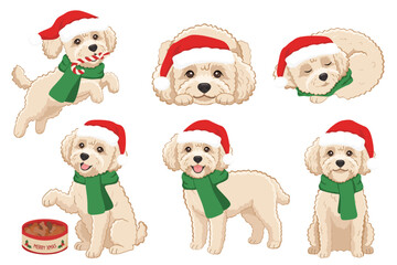 Fototapeta premium Vector illustration set of a cute fluffy Maltipoo dog in various festive poses for the Christmas season. The adorable puppy is wearing a red Santa hat and a cozy green winter scarf. 