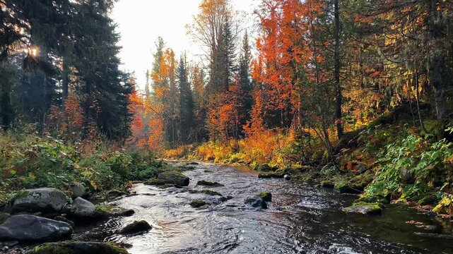 Tranquil mountain river meandering through a vibrant northern forest during a sunny autumn day, with colorful foliage and moss-covered stones lining the lush, wild riverbank scenery
