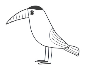 Fototapeta premium PNG Minimal illustration of toucan drawing sketch animal.