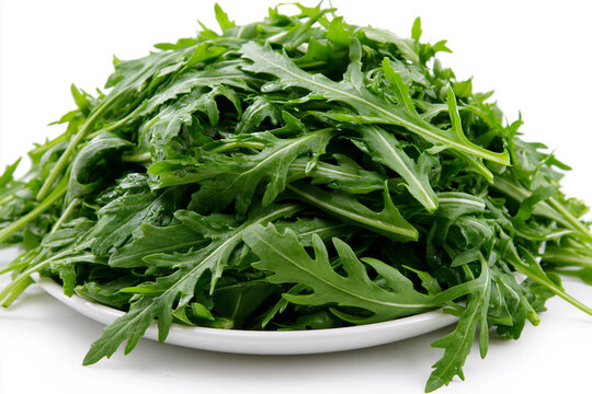 Fresh arugula leaves on a white plate