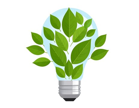 Single green leaf in white pot on white background.