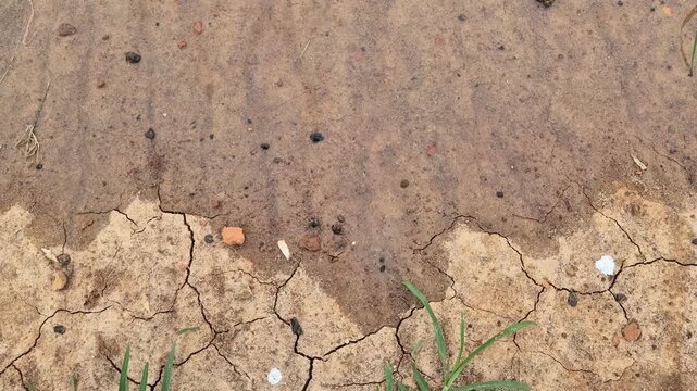 Wet Mud Flowing Over Dry Cracked Soil - Drought Relief And Irrigation Concept