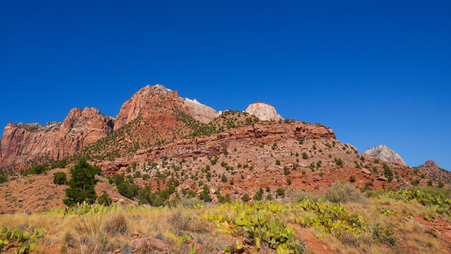 Navajo sandstone cliffs with green desert shrubs in Zion National Park USA