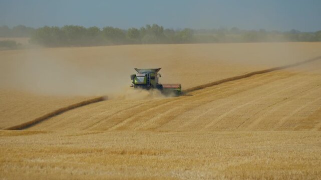 A modern combine harvester machine cutting ripe golden wheat crops in a vast agricultural field with rising dust clouds, showcasing industrial farming and seasonal harvest processes