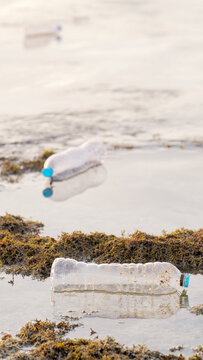 plastic bottles floating on water, ocean pollution, environmental problems, indonesia, southeast asia
