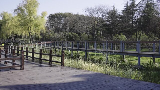 Tranquil Pathway through Lush Greenery and Wooden Walkways  