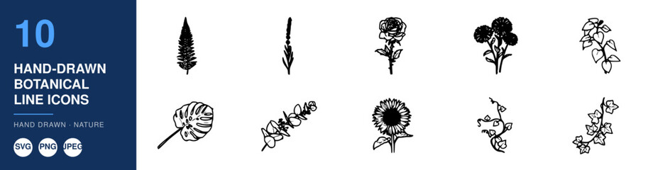 Obraz premium Ten Hand-Drawn Botanical Line Icons Featuring Leaves and Plants in Black and White Featuring Leaf, Plant, Icon with Art