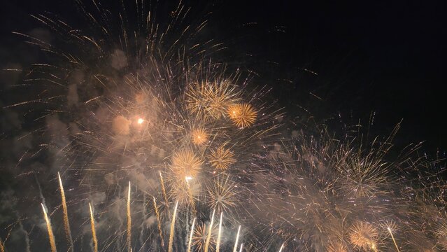 fireworks in the night sky