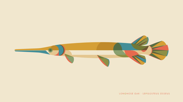 Longnose gar fish geometric vector illustration in retro color style