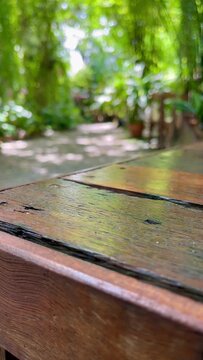 Empty wooden table garden nature