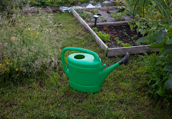 Large green watering can standing on grass in a garden near a greenhouse © Alina 