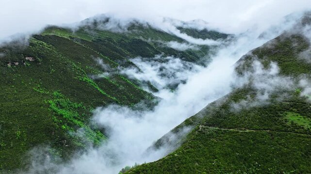 Aerial view of the summer landscape in Shuangqiao Valley Scenic Area of Mount Siguniang, Aba Prefecture, Sichuan, China, with mist-shrouded mountains