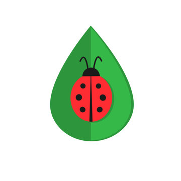 Cute red lady bug on green leaf minimalist flat icon