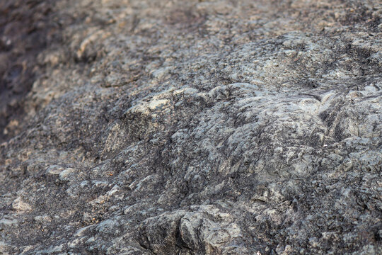 Close-up of coarse gray rock reveals intricate natural patterns and uneven surface.