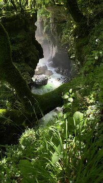 sunlight filters through dense forest foliage into a mossy narrow gorge, where clear mountain water rushes between rugged wet rocks in a secluded wilderness landscape