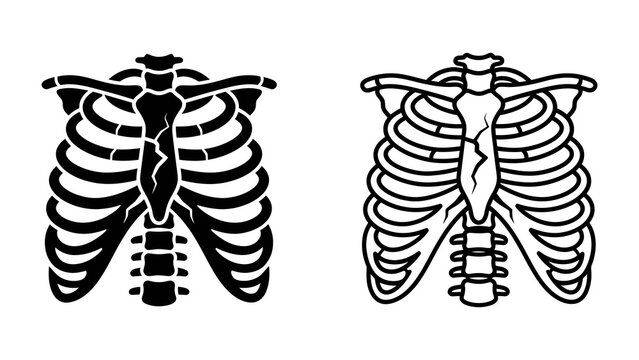Human Rib Cage Anatomy: A detailed illustration of the human rib cage, presented in both black silhouette and line drawing style, showcasing the intricate structure of bones, sternum.