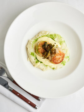 Turkey meatballs with creamy mashed potatoes and green sauce, fine dining menu, gourmet restaurant dish
