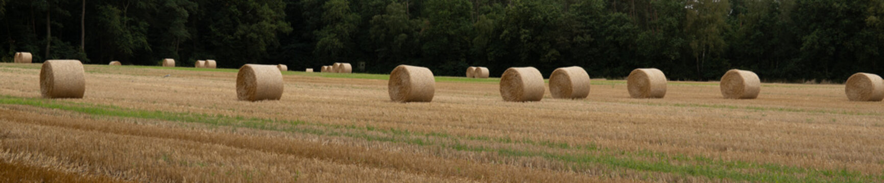 Feld mit Heuballen am Wegesrand in der Region Teutoburger Wald