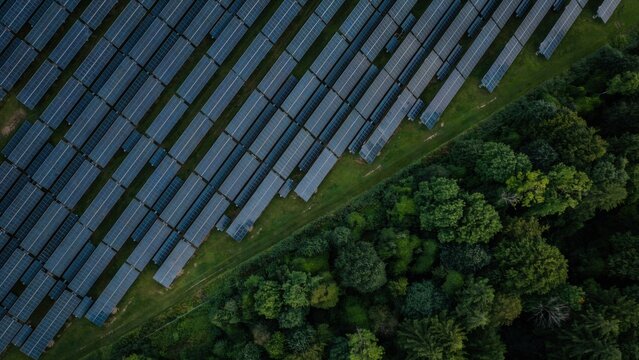 Top down aerial view of solar panel farm rows near forest with renewable technology sustainable installation