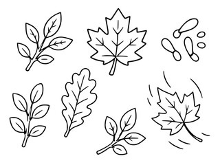 Obraz premium Autumn leaf coloring page line art vector illustration