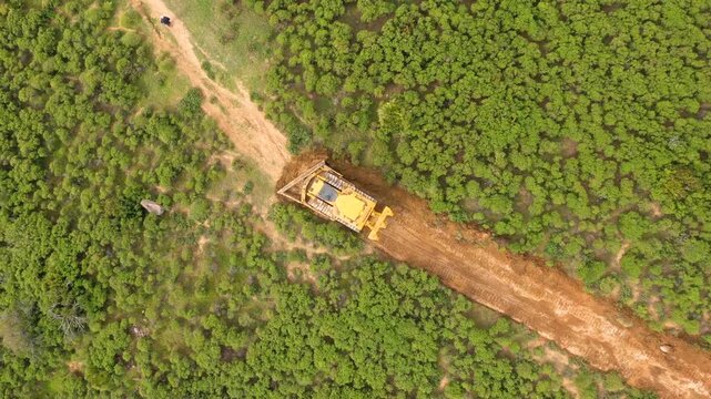 remove sand from forest