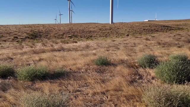 4K pocket action camera footage of a wind farm near Arlington, Columbia River Gorge, Oregon, USA at morning light. Rotating wind turbines producing clean renewable electricity in strong winds