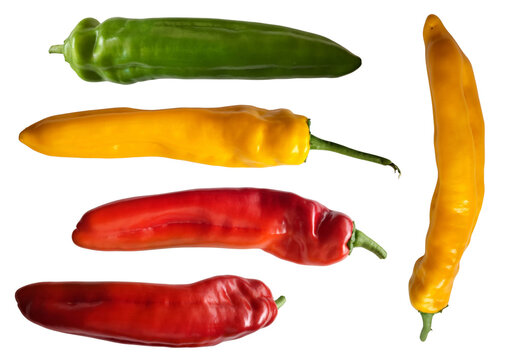 Colorful sweet pointed peppers set with green, yellow, and red peppers isolated on transparent background (PNG).