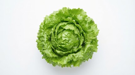 Obraz premium green lettuce on a white background