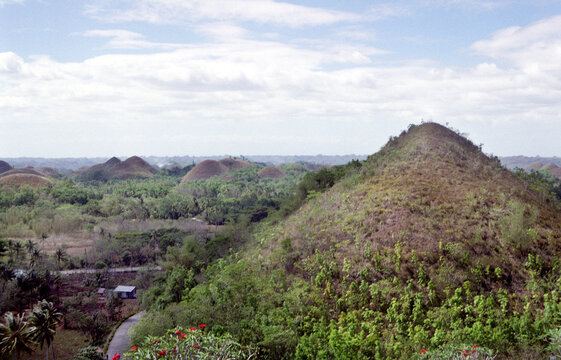 Chocolate Hills