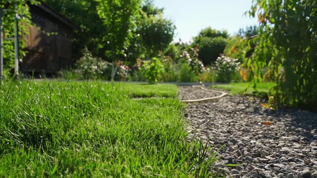 Green lawn edge along gravel path in summer garden from low angle