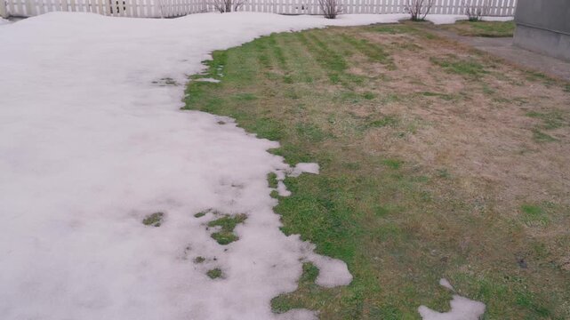 Lawn grass condition after winter with melting snow near white fence